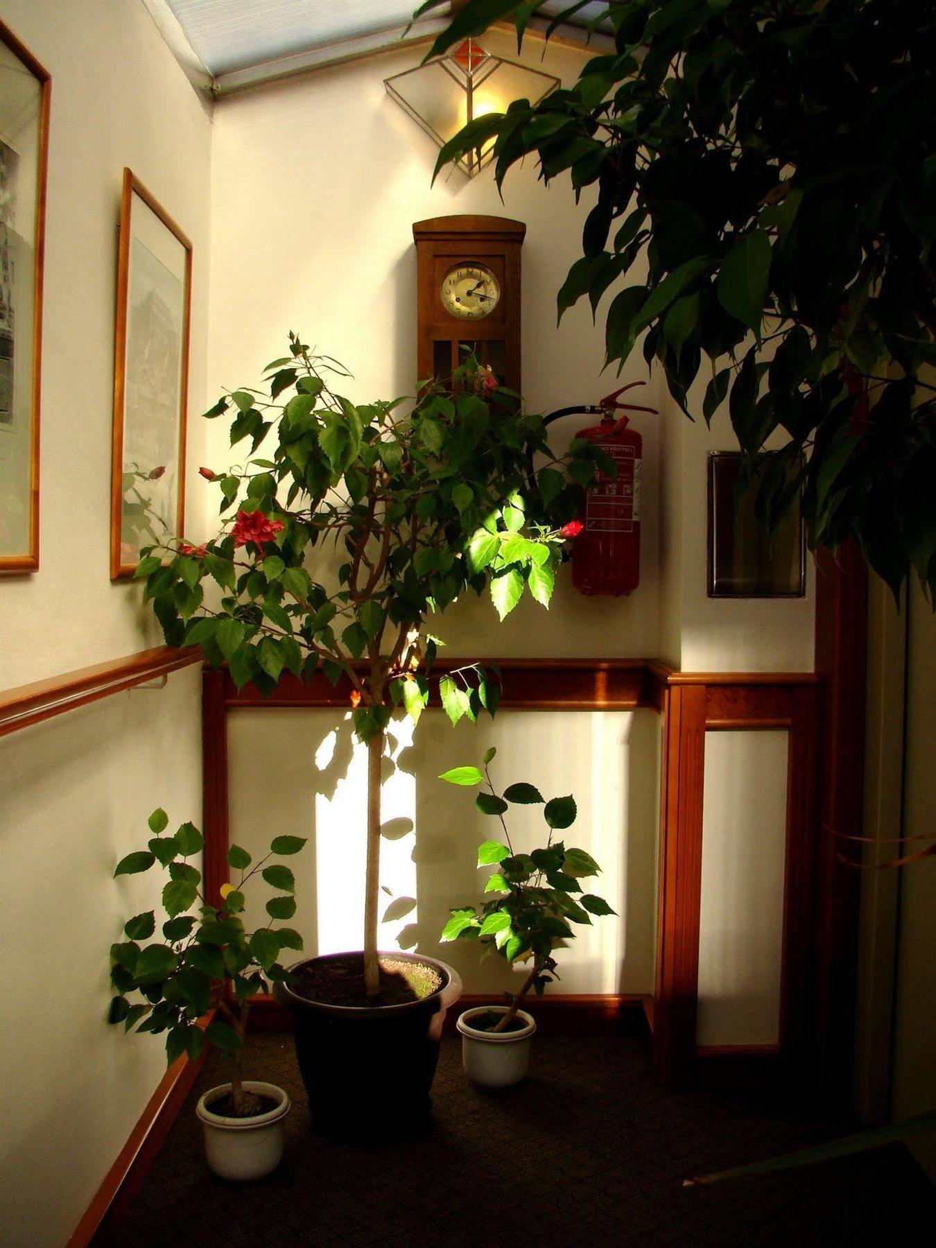 Boutique Hotel 16 Praga Esterno foto